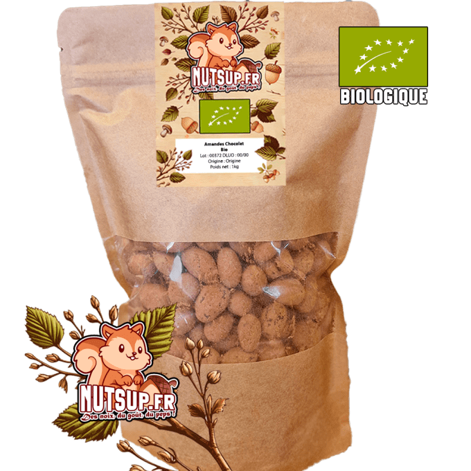 Amandes chocolat noir Bio