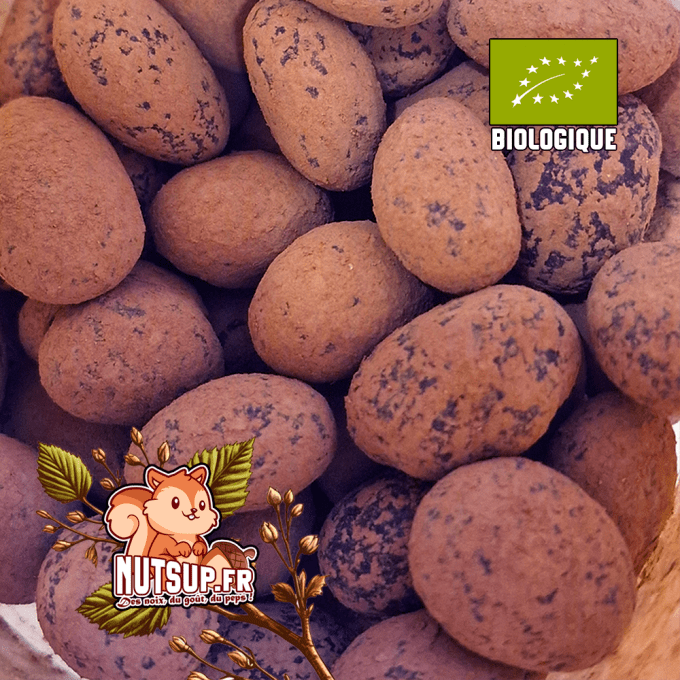 Amandes chocolat noir Bio