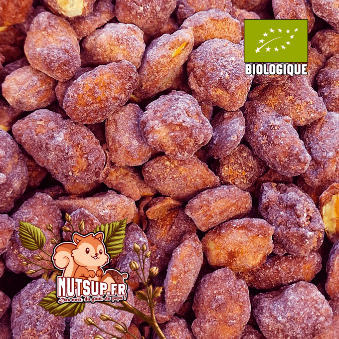 Amandes caramélisées Bio