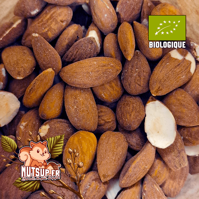 Amandes décortiquées Grillées SANS sel Bio