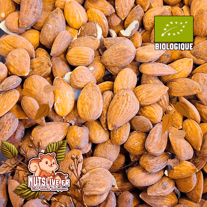 Amandes décortiquées Bio