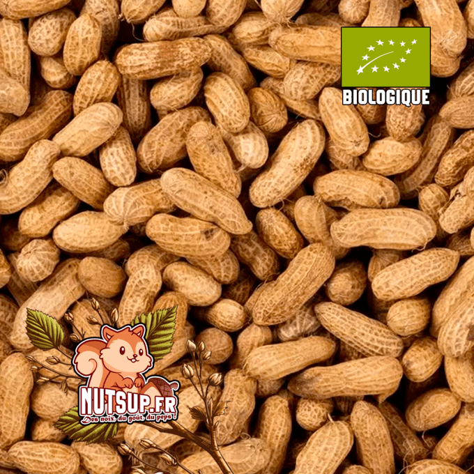 Cacahuètes en Coque Bio 
