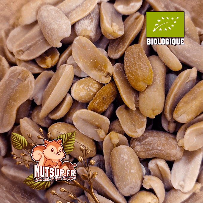 Cacahuètes décortiquées grillées Bio