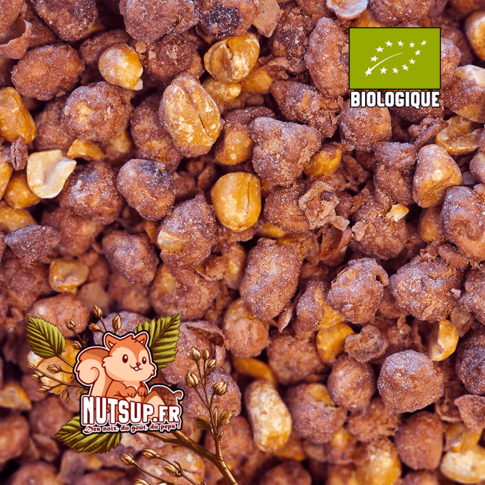 Noisettes grillées Caramélisées ( Pralin ) BIO 