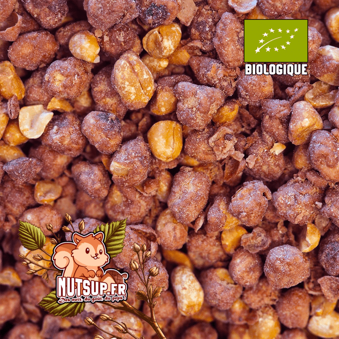 Cacahuetes caramélisées Bio En Vrac 