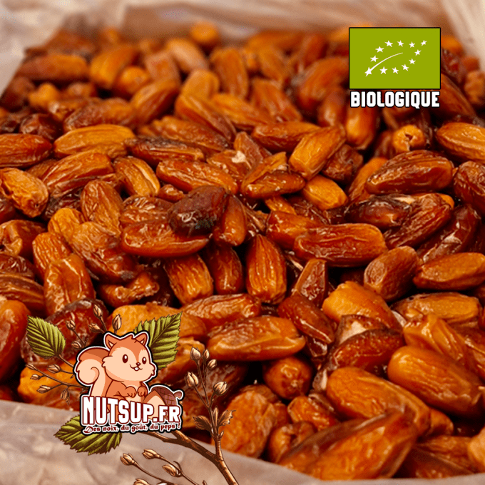 Dattes degletnour dénoyautées Bio