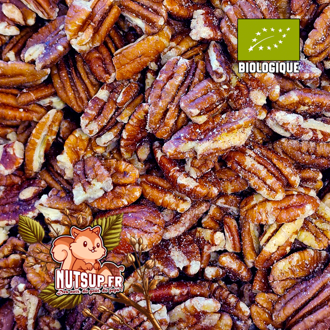 Noix de Pécan Bio