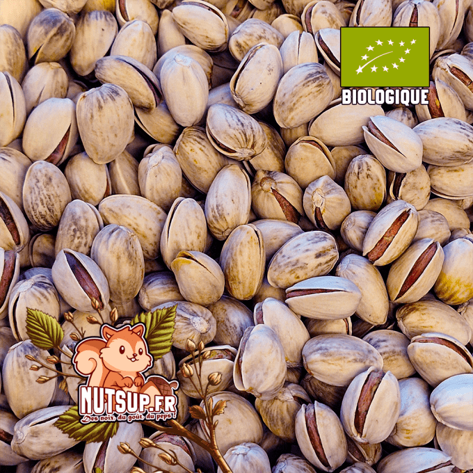 Pistaches Coque Grilées NON Salées Bio